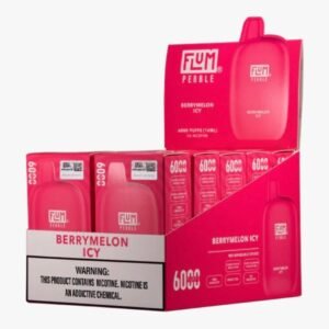 Berrymelon Icy 6000 puffs 10 pack